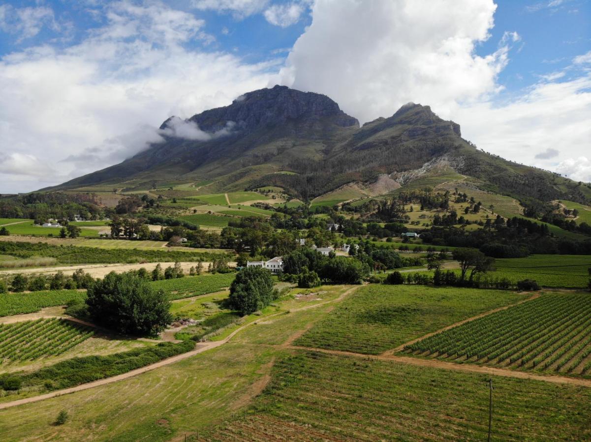 Villa Le Pommier Wine Estate Municipalità locale di Municipalità locale di Stellenbosch Esterno foto