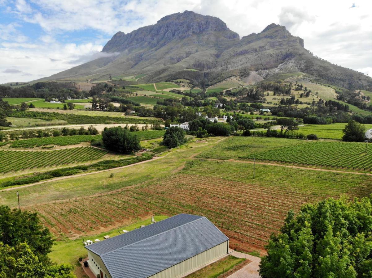 Villa Le Pommier Wine Estate Municipalità locale di Municipalità locale di Stellenbosch Esterno foto