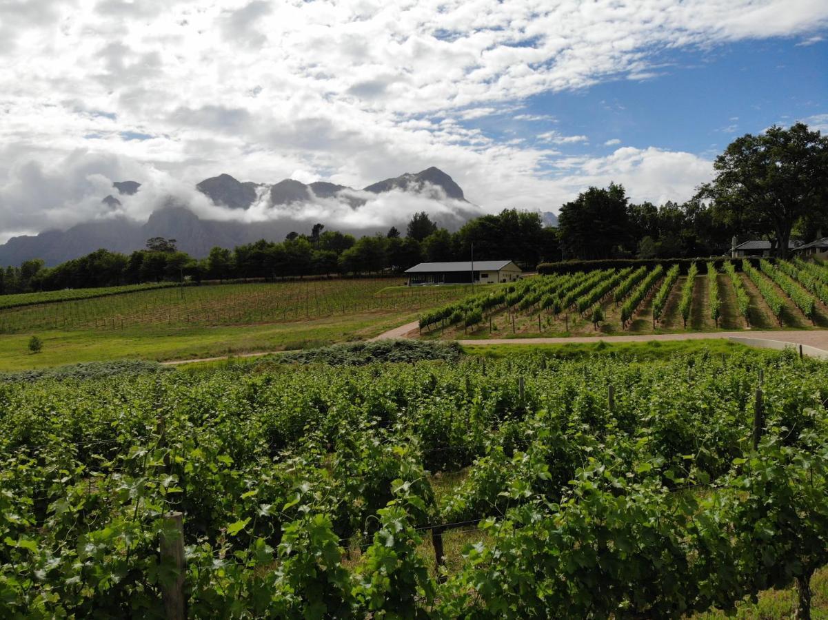 Villa Le Pommier Wine Estate Municipalità locale di Municipalità locale di Stellenbosch Esterno foto