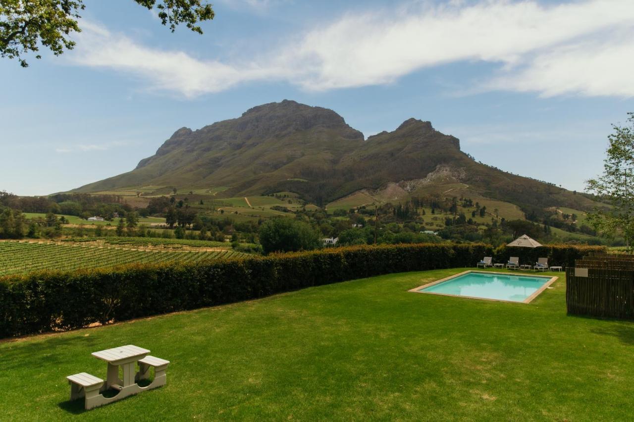 Villa Le Pommier Wine Estate Municipalità locale di Municipalità locale di Stellenbosch Esterno foto