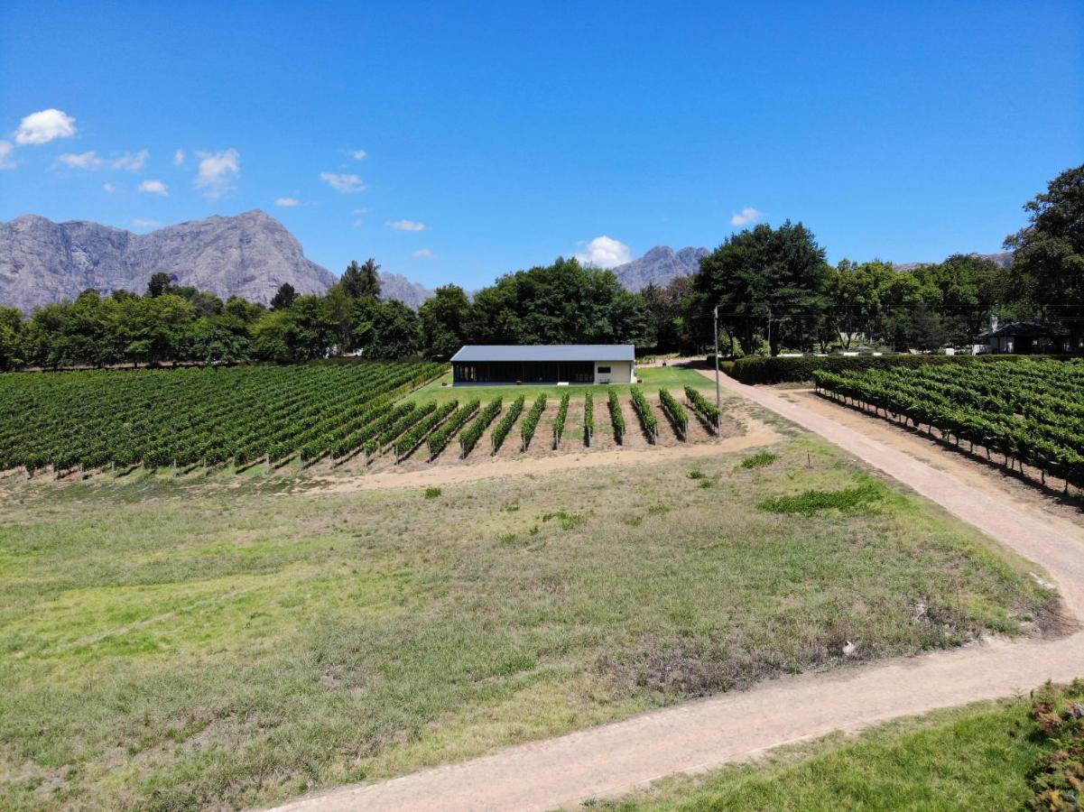 Villa Le Pommier Wine Estate Municipalità locale di Municipalità locale di Stellenbosch Esterno foto