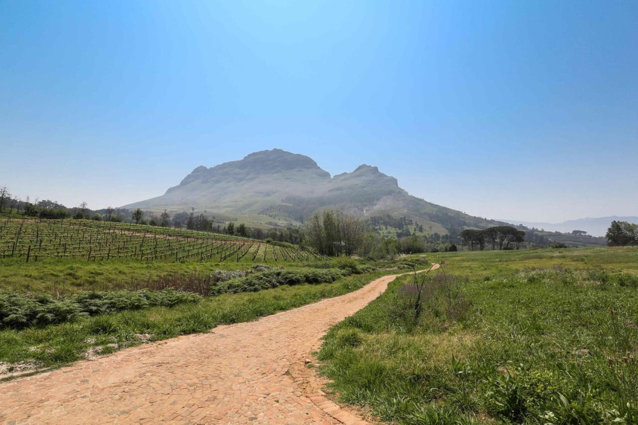 Villa Le Pommier Wine Estate Municipalità locale di Municipalità locale di Stellenbosch Esterno foto